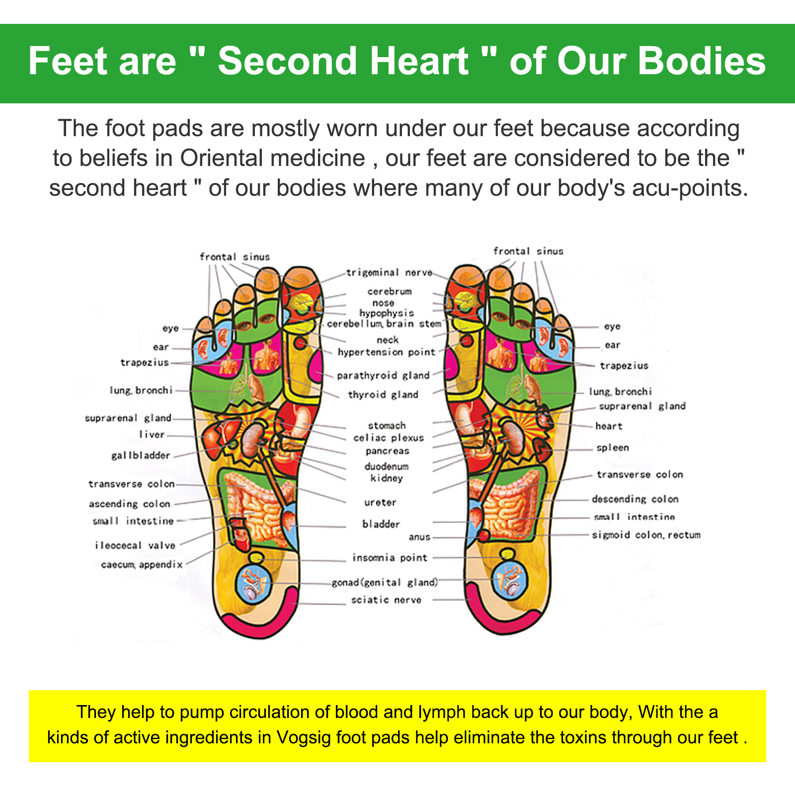 Foot Therapy Patches-8.jpg Foot Therapy Patches-8.jpg